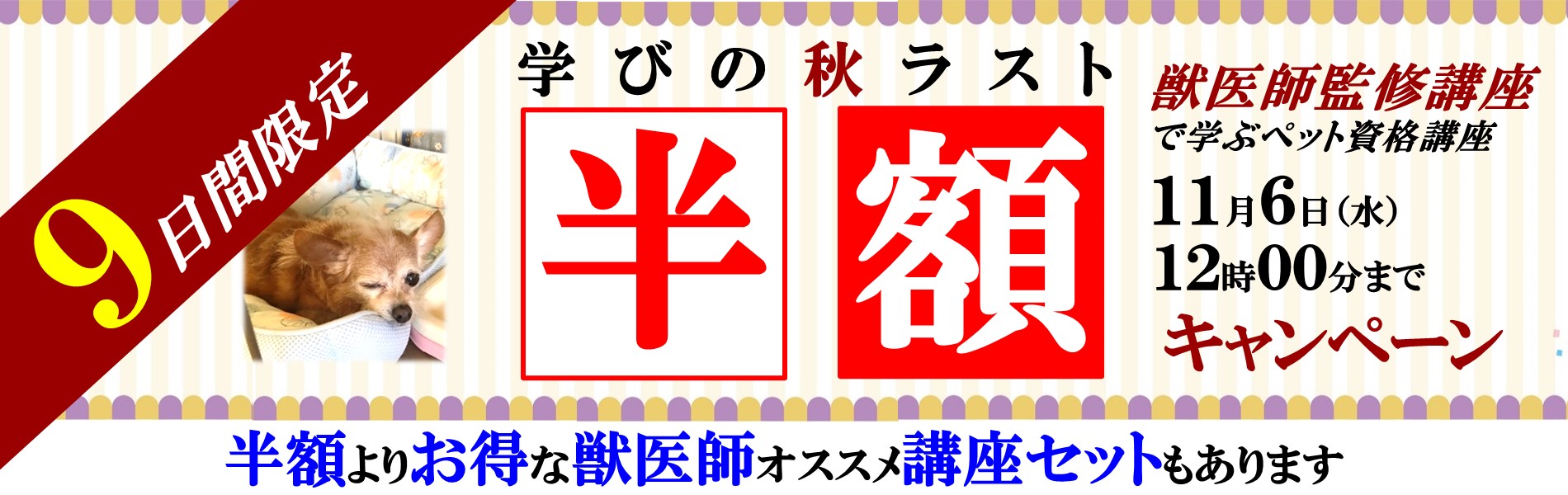 ペットの資格取得応援キャンペーン