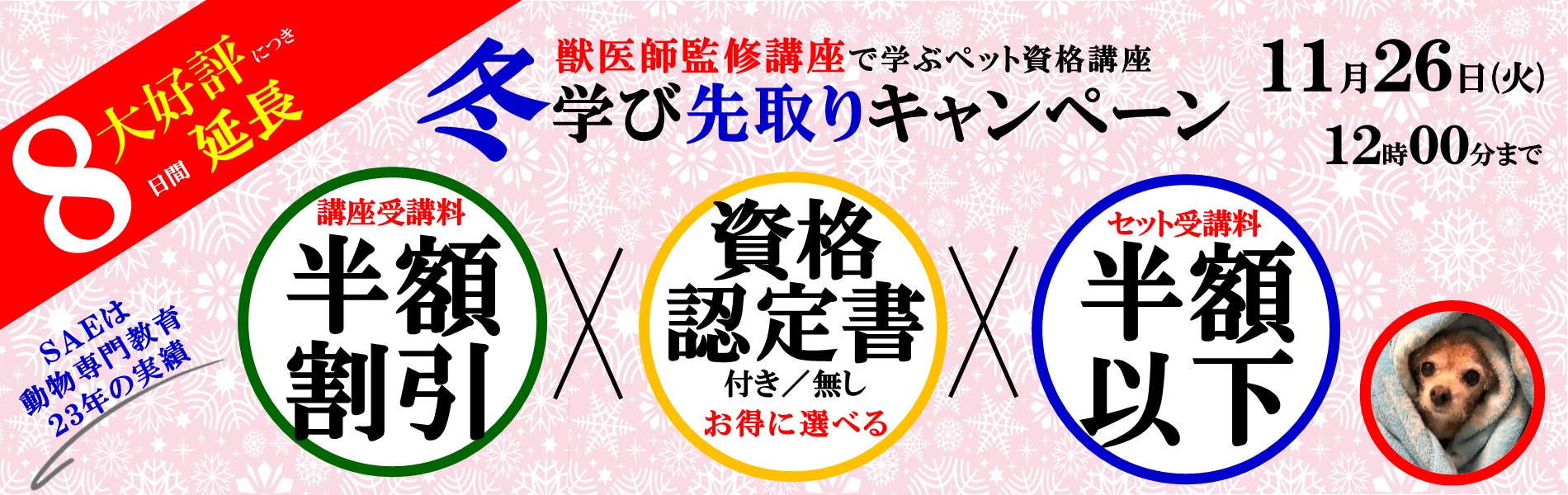 ペットの資格取得応援キャンペーン