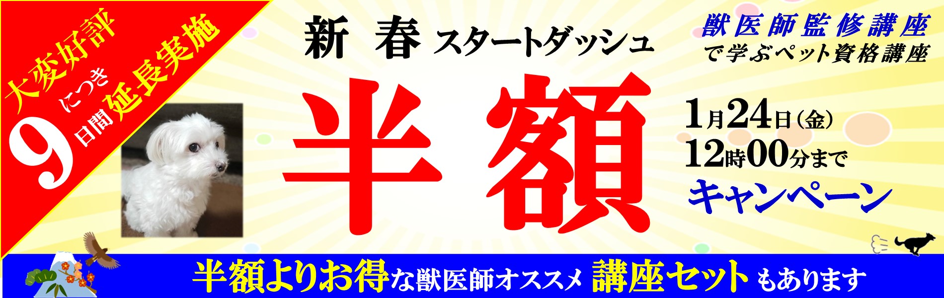 ペットの資格取得応援キャンペーン